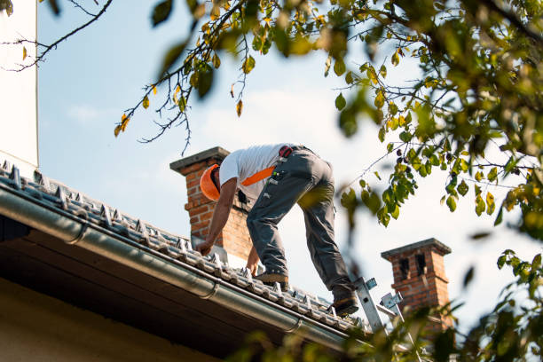 Roof Gutter Cleaning in Lillian, AL