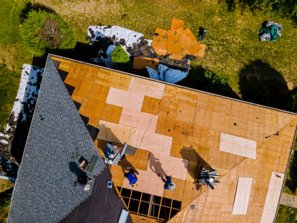 Best Flat Roof Repair Services  in Lillian, AL